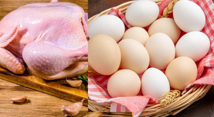 Egg and chicken price will increase UAE