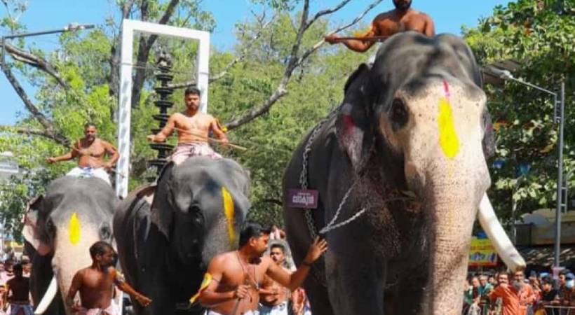 guruvayur elephant race komban gokul finishes in first place