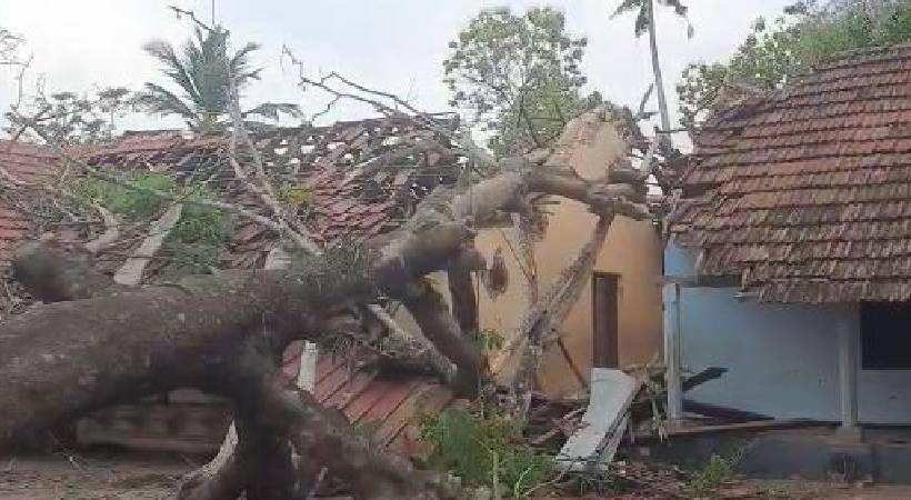 chengannur tree fell on school roof