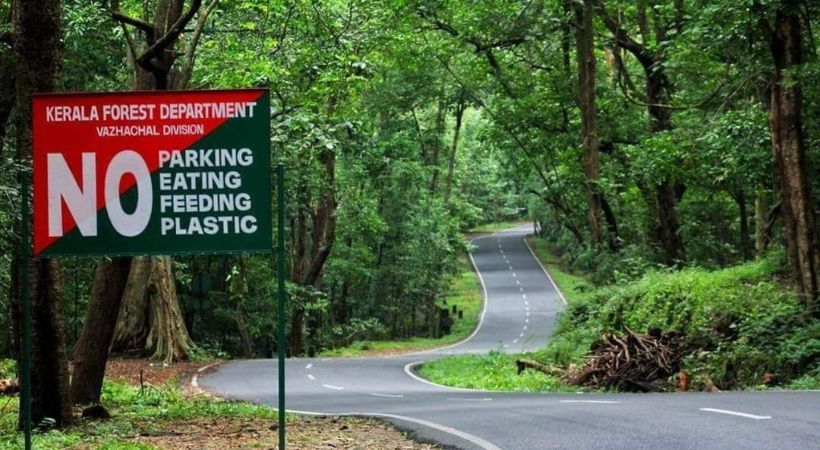 kerala forest