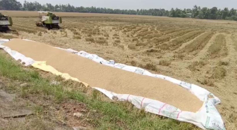 Farmers stopped harvesting due to threatening from cpim leaders