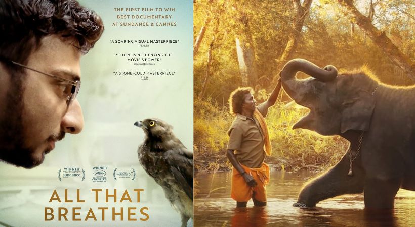 Oscar nomination The Elephant Whisperers All That Breathes