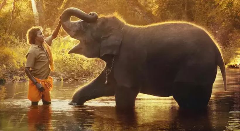 Oscar for India documentary category The Elephant Whisperers india