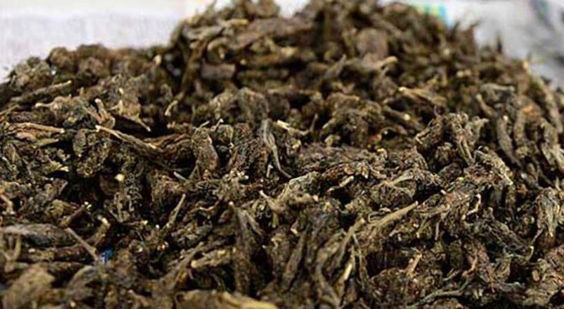 elderly woman and a young man arrested with ganja in Kollam