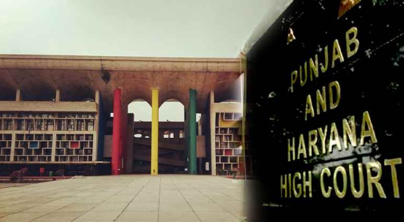 Women In India Are Still Facing Domestic Violence P&H High Court