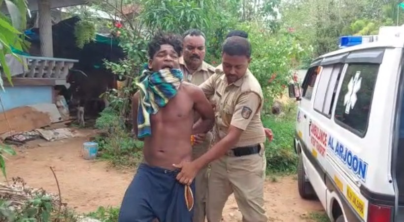 A cow was sexually assaulted;  Young man arrested in Kollam