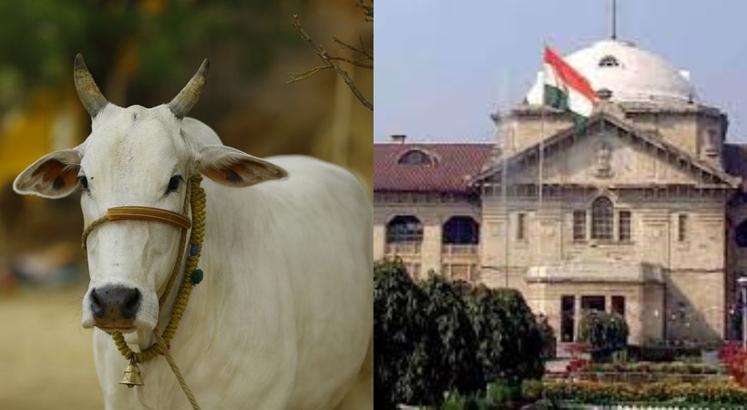 government should declare cow as national protected animal says Allahabad High Court
