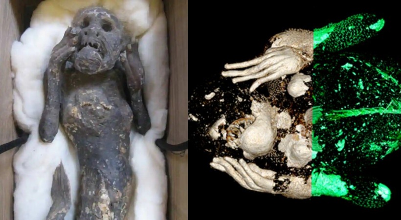 mermaid mummy discovered in Japan is even weirder than scientists expected
