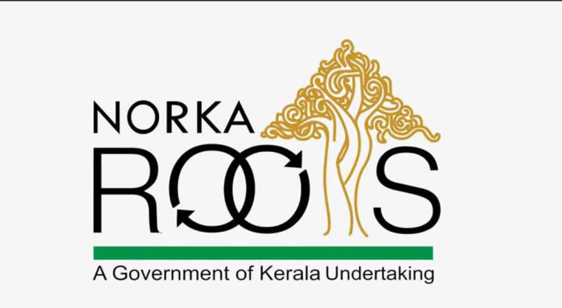 norka roots