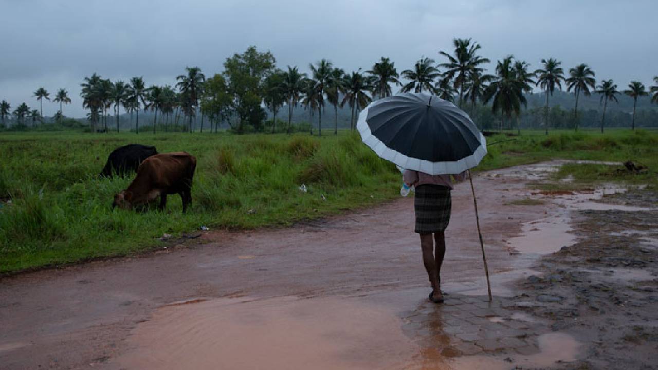 Rain likely to continue Kerala with thunderstorms