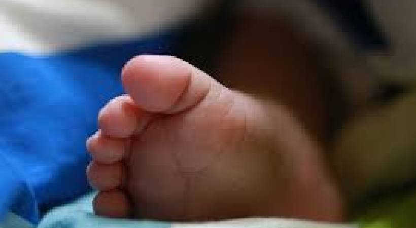 Thripunithura couple gets custody of child