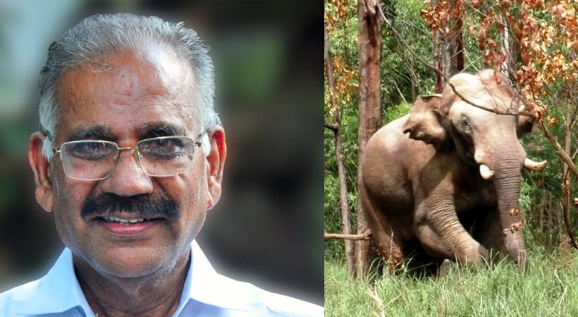 ak saseendran about arikomban issue