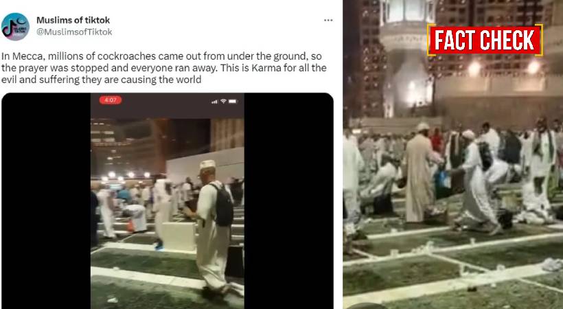 Did Cockroaches Invade mecca fact check