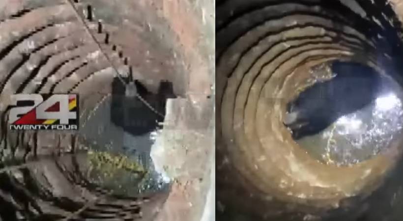 vellanad bear died