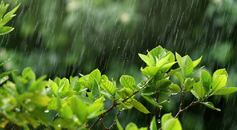 rain alert in two districts