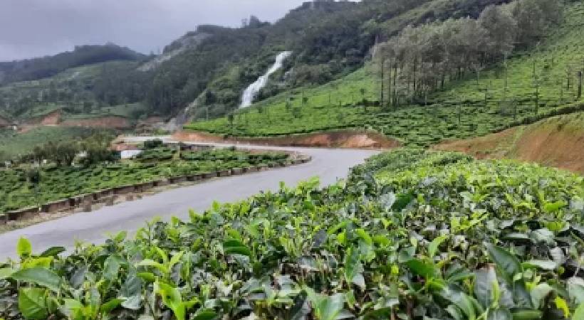 144 declared in chinnakanal
