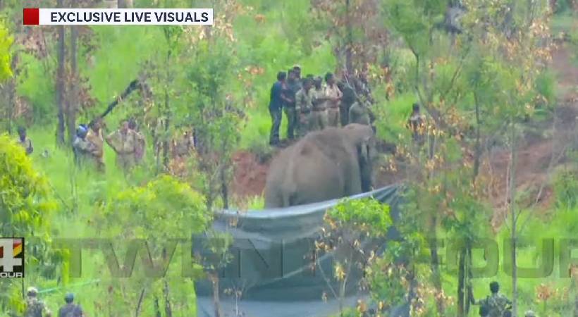arikomban will not be transported to idukki