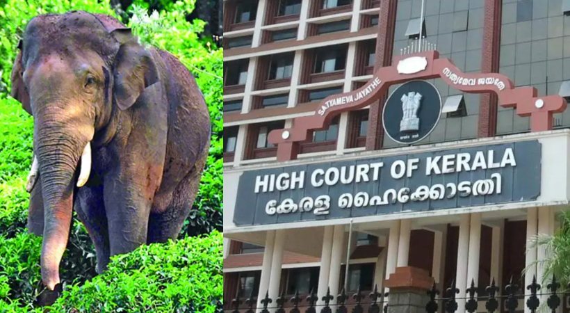 Images of Arikomban and Kerala HC