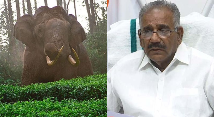 'Arikomban is not alone, the mission is expected to see its target today'; AK Saseendran