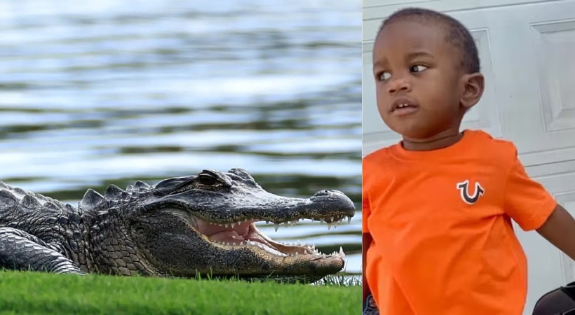 Body Of Missing 2-Year-Old Found In Alligator's Mouth In US