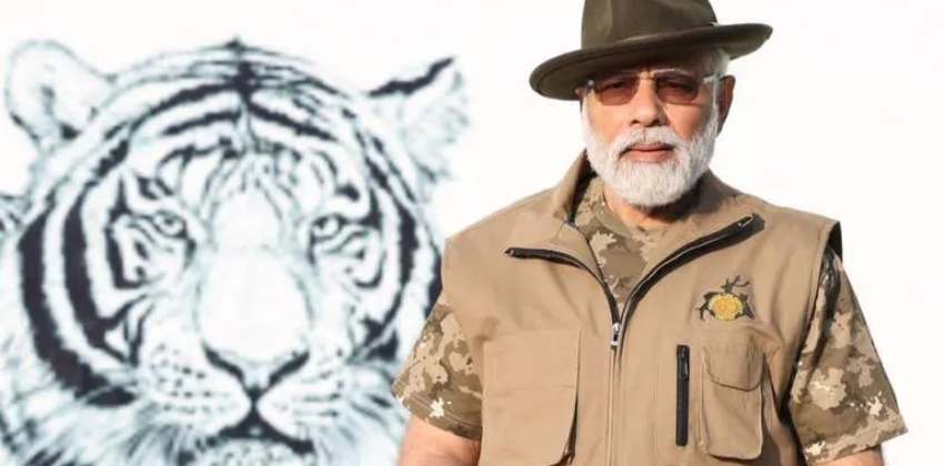 The number of tigers in the country has increased 3167 tigers