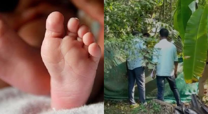 Newborn baby