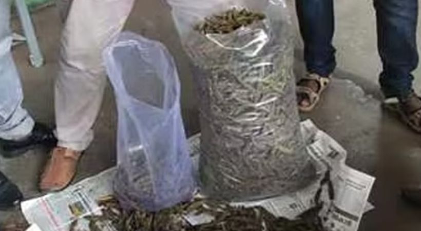 15 kg ganja found at Thrissur railway station
