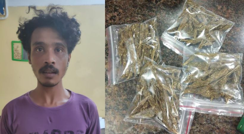 young man arrested for selling ganja to students Kilimanoor