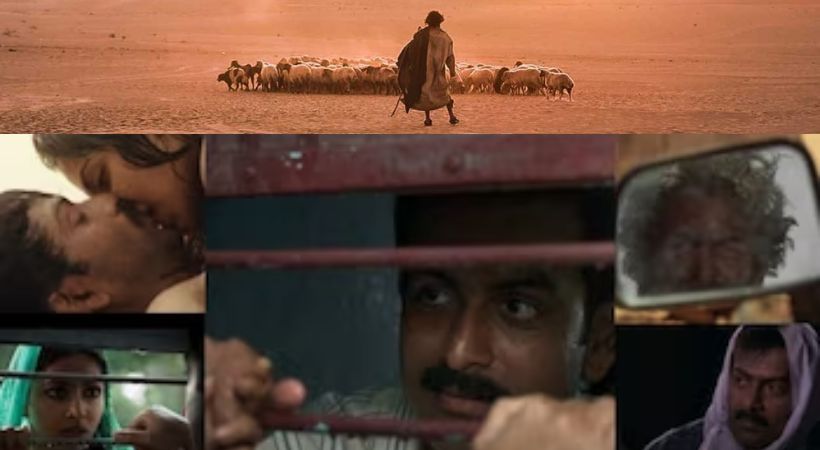 Aadujeevitham trailer leaked Blessy Benyamin Prithviraj says unofficial