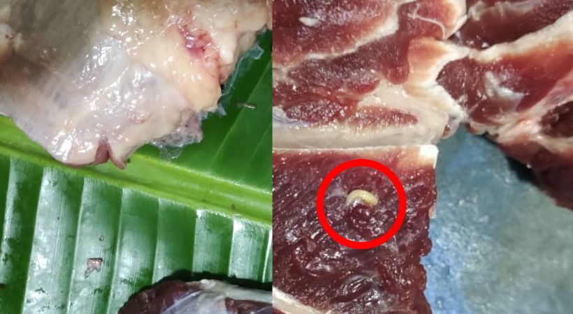 worm in beef health department intervened Thrissur