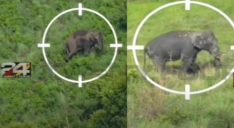 'Operation Arikomban' Mission to success