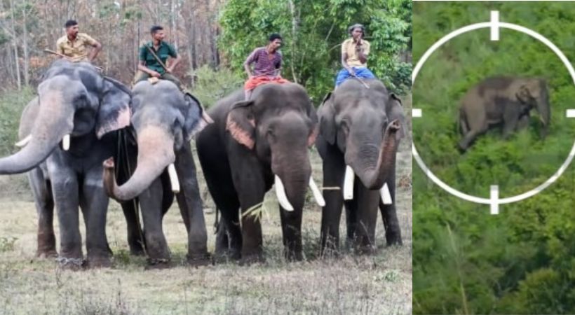 Mission Arikomban to successful shot three times