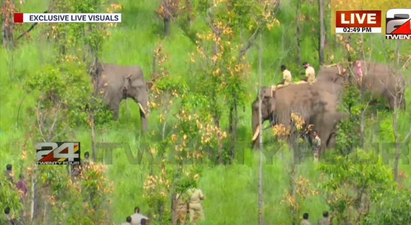 mission arikomban; Forest Department tries to connect legs arikomban