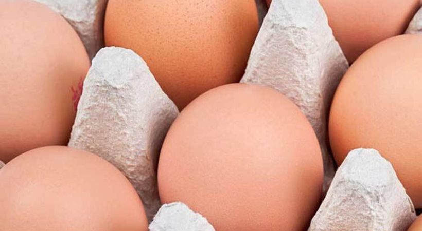 UAE Minimum of Dh10000 fine announced for violations of price hike rules for eggs poultry