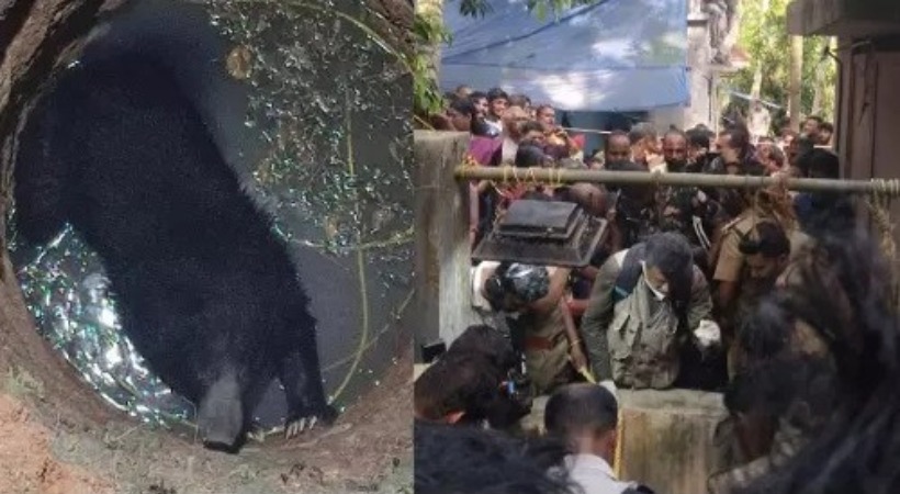 Vellanad Bear death