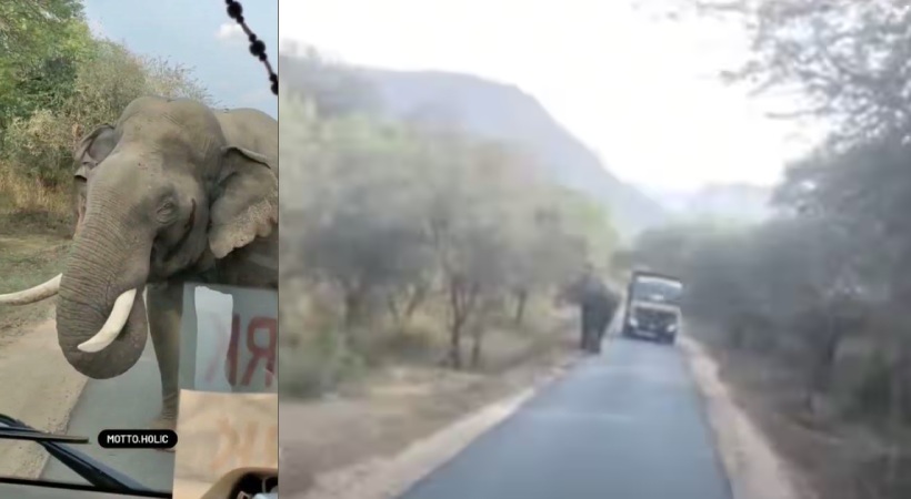 Wild Elephant attack in Chinnar