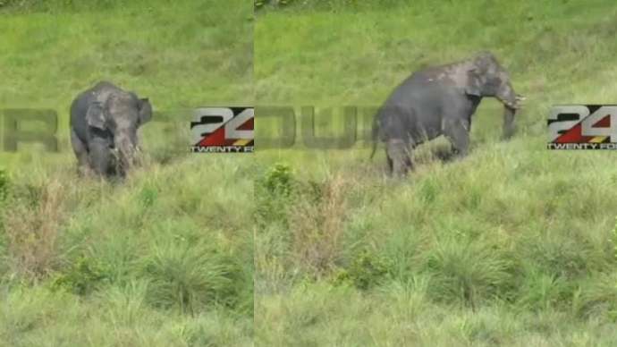 mission arikkomban found in sinkukandam