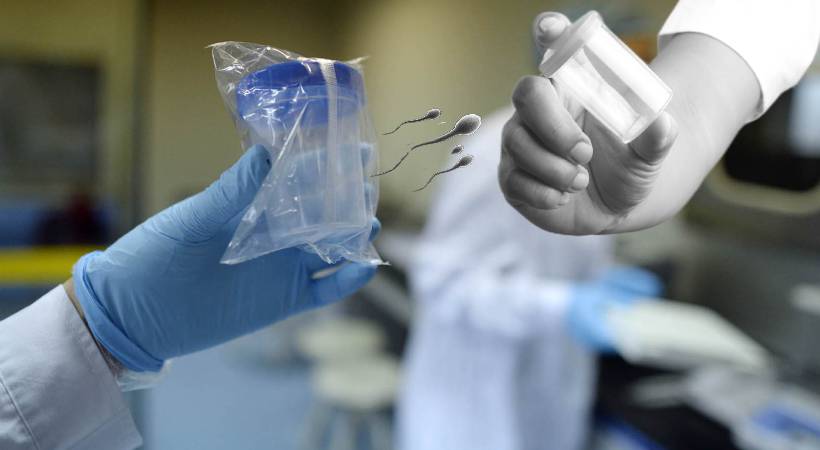 Sperm donor who fathered 550 children Netherlands