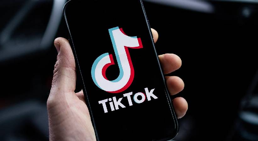 company offer 100 dollar to watch tiktok videos