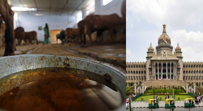 congress workers sprinkle gomutra on vidhan soudha
