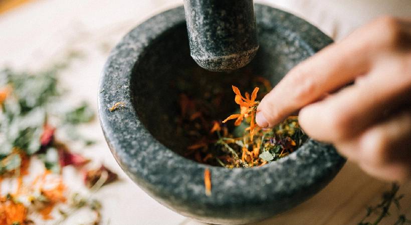 adivasi traditional medicine need govt certification says practitioners