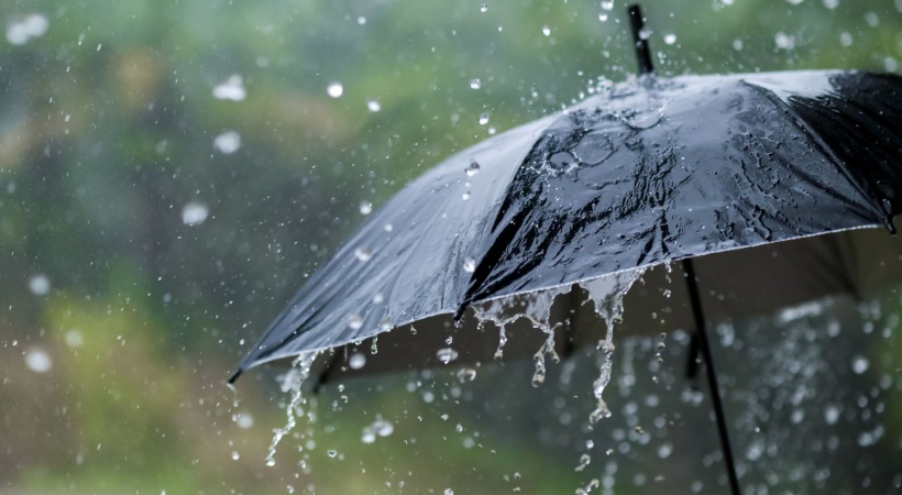 Kerala rain yellow alert in 7 districts today