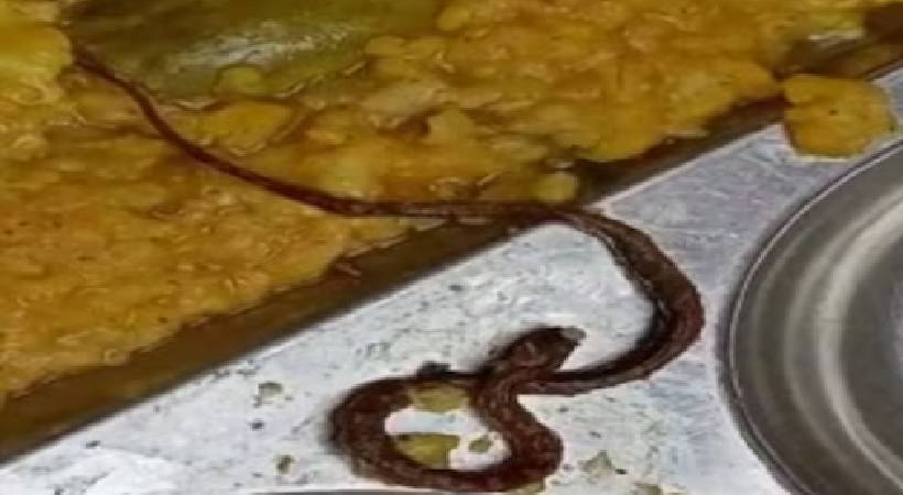 Dead snake in food served at school in Bihar