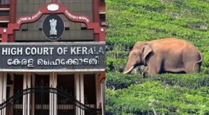 High Court congratulates those who participated in Ari komban mission
