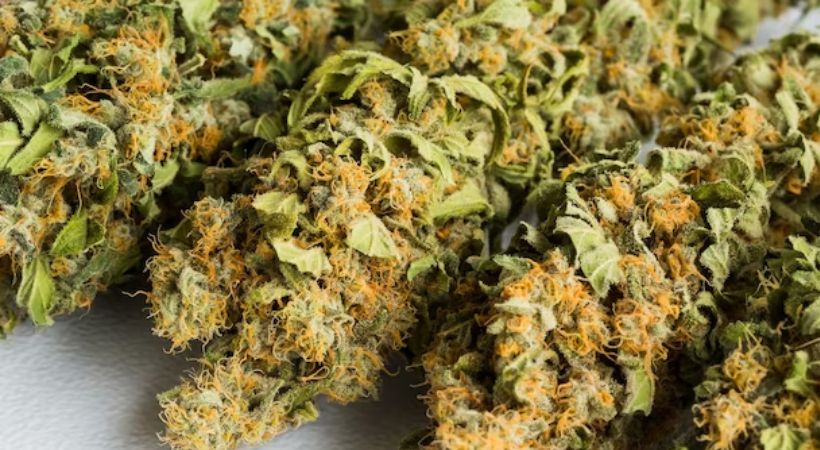 Youth arrested with one and a half kilo of ganja