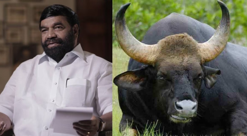 Images of VN Vasavan and Buffalo
