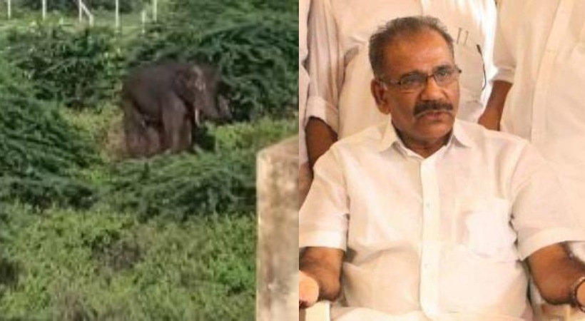 A K Saseendran says Arikomban is at Tamilnadu forest area