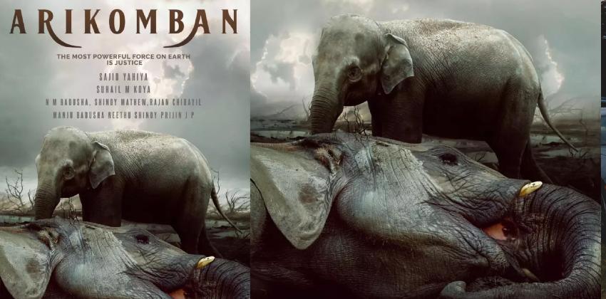 arikkomban-movie-announced-sajid-yahiya-to-direct-arikomban