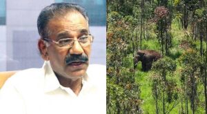 No worries about Arikomban says AK Saseendran