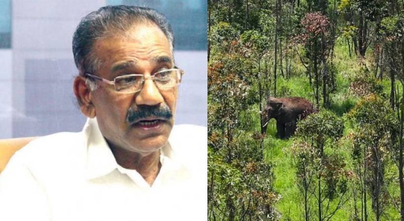 No worries about Arikomban says AK Saseendran